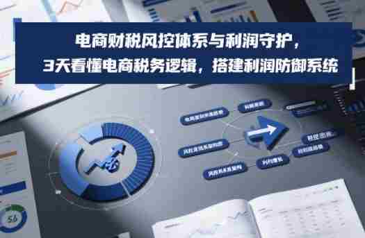 电商财税风控体系与利润守护，3天看懂电商税务逻辑，搭建利润防御系统 - 创创网